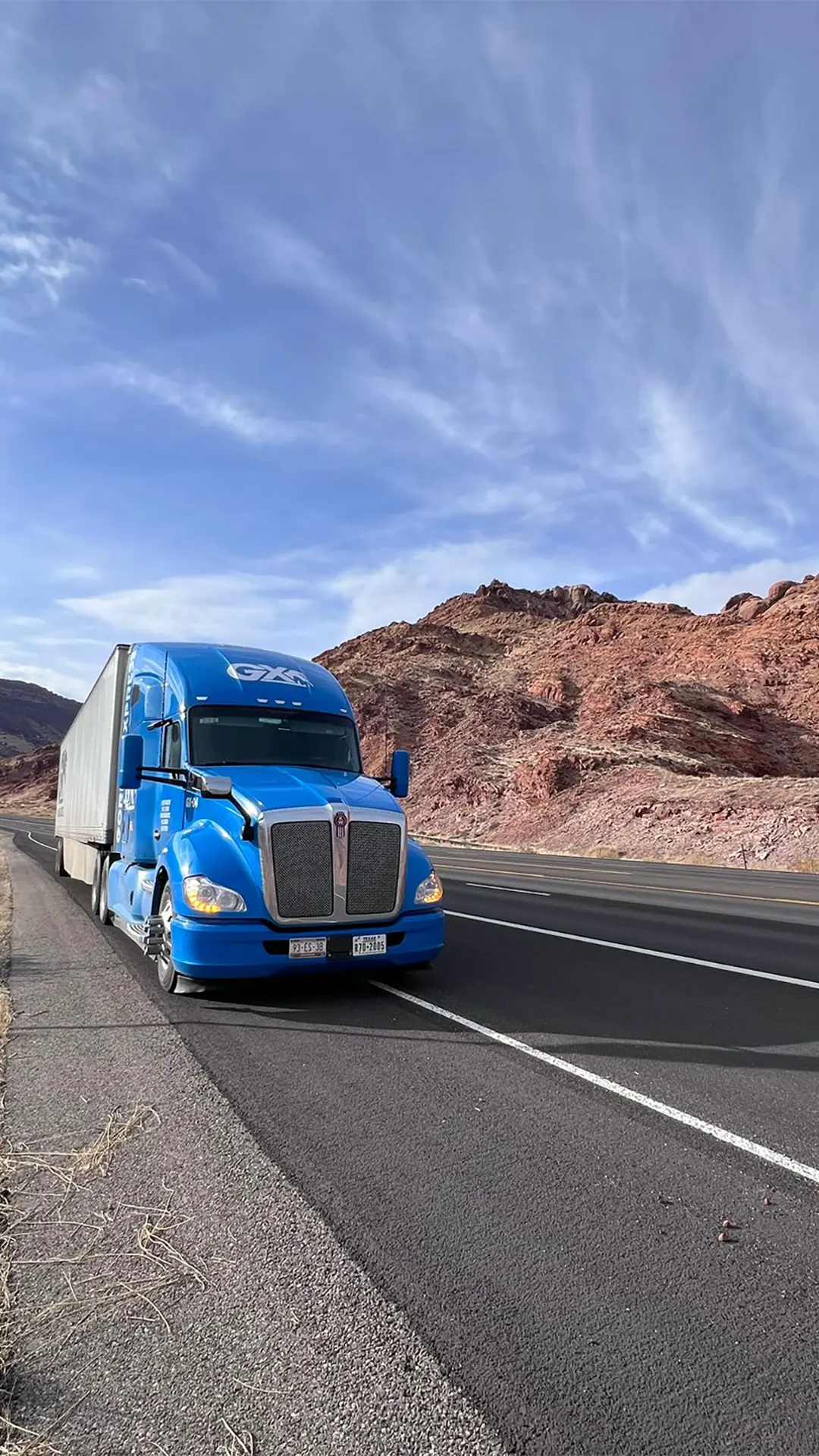 gorilla-express-gal-3