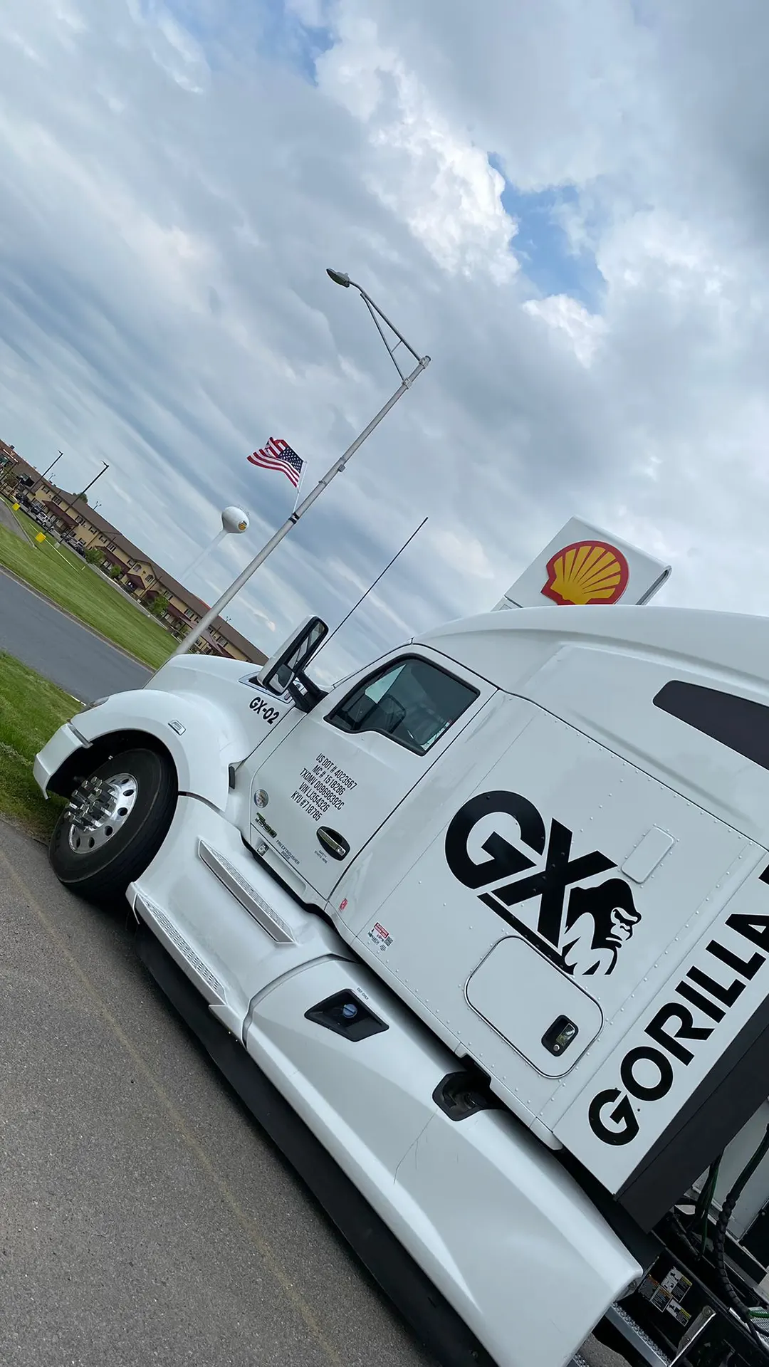 gorilla-express-gal-4