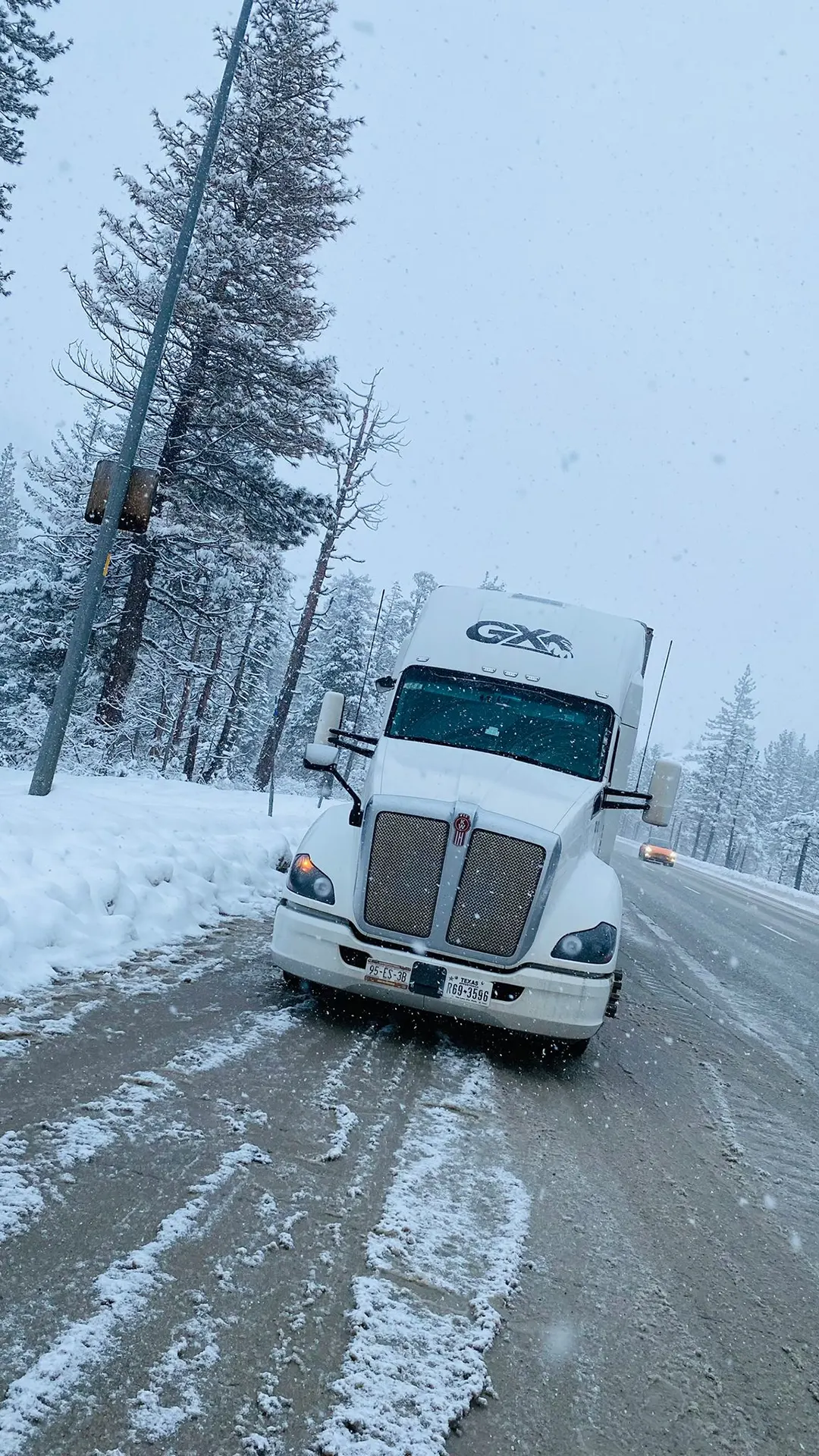 gorilla-express-gal-5