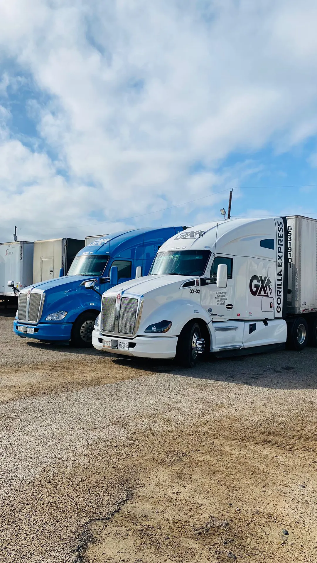 gorilla-express-gal-6